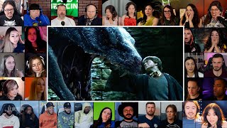 Basilisk Slayer  Harry Potter and the Chamber of Secrets 2002 Reaction Mashup [upl. by Lemak]