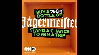 Jägermeister Summer x Best Nights Competition [upl. by Kumagai]