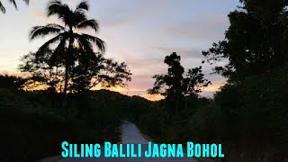 Lost in the Wilderness  Siling Balili Jagna Bohol [upl. by Anyrtak]