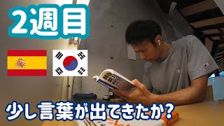 【2週目】スペイン語の活用に苦戦！韓国語はちょい向上？【各言語の特性と難しさ】 [upl. by Aieki]