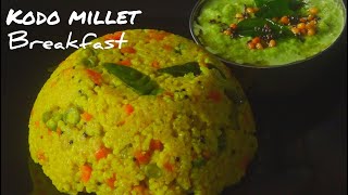 Varagu arisi upma  Kodo millet recipes in Tamil  Healthy breakfast recipes using millets [upl. by Yzdnil]