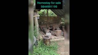 2 Acres Homestay  Tourist home for sale in Madikeri Coorg [upl. by Aissatsana]