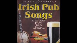 The Best 40 Favourite Irish Pub Drinking Songs  Various Artists  Over 2 Hours [upl. by Erual]