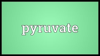 Pyruvate Meaning [upl. by Tilden]