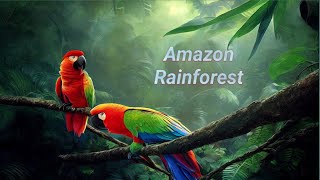 Amazon rainforest video  Amazon rainforest documentary [upl. by Eekaz]