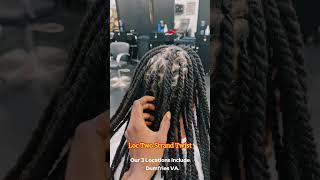 How To Make Loc Two Strand Twist [upl. by Bancroft]