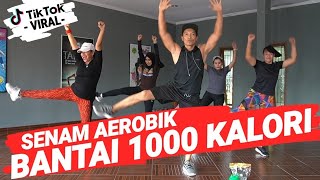 SENAM AEROBIK BISA BAKAR 1000 KALORI 🔥🔥🔥 [upl. by Haleelahk]