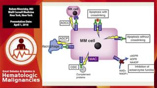 Monoclonal antibodies for multiple myeloma [upl. by Rednijar]