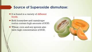 Superoxide dismutase SOD [upl. by Sadirah217]