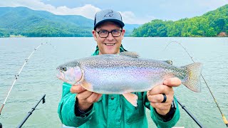 Helpful tips for catching trout Watauga Lake [upl. by Timms233]