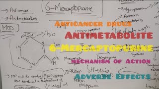 Anticancer drug antimetabolites  6Mercaptopurine mechanism of action [upl. by Ledairam]