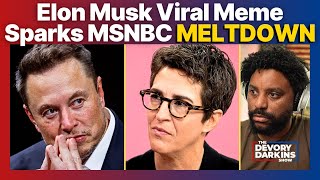 Elon Musk VIRAL MEME Sparks MSNBC Meltdown [upl. by Aramaj]