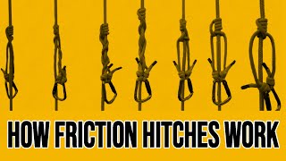 Arborist Explains How Friction Hitches Work [upl. by Jerome]