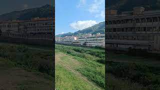 Città pescia youtube like travel 魚市 Рыбный город italia [upl. by Amlet]