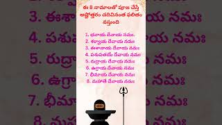 Powerful 8 names of lord shiva [upl. by Hinson892]