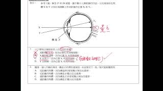 HKDSE 生物科 概念重溫篇：第15課（6） 視覺調節問題 I [upl. by Newel878]