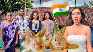 HOUSE RABBIT MAKEOVER INDIA 🇮🇳  quotDisabled Bunny Needs Helpquot  EPISODE 10 [upl. by Ttenneb202]