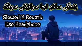 ZINDAGI SAKOO NACHA  SARAIKI SONG  SLOWED X REVERB  LOFI MUSIC [upl. by Ready]