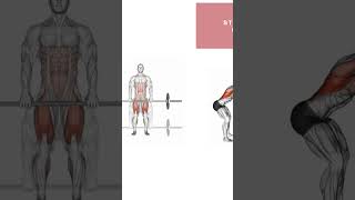 4 Best Exercises for a Wide Back shortsfeed [upl. by Anilave912]