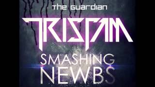 Tristam The guardian Monstercat [upl. by Ventura]