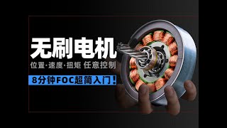 没有专业术语！新手小白也能看懂的FOC科普 [upl. by Fifine]