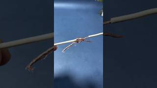 Part No 154  Soft wire quick connection method [upl. by Ahsinnek610]