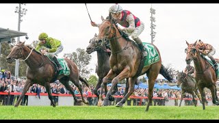 Cranbourne Cup Day  Ascot  Kembla Grange  Morphettville  Doomben  Horse Racing Tips 251123 [upl. by Armat]