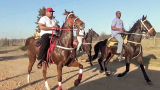 2024 Ashdown Singlefoot and Racking Horse Trail Ride [upl. by Melesa]