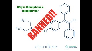 Why is Clomiphene a banned PED clomiphene [upl. by Isac243]