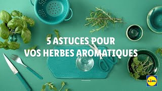 5 astuces pour vos herbes aromatiques  Tuto Lidl Cuisine [upl. by Tamarah]