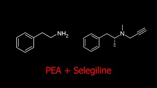 Phenethylamine  Selegiline  an quotAmphetaminelikequot Antidepressant [upl. by Dulsea389]