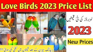 love birds price in pakistan 2023  love birds price in pakistan  love birds price  love birds [upl. by Firestone]