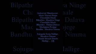 Sojugada Sooju Mallige Song Lyrics in English ananyabhat [upl. by Moishe644]