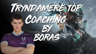 Tryndamere Top coaching by Boras [upl. by Ninnette923]