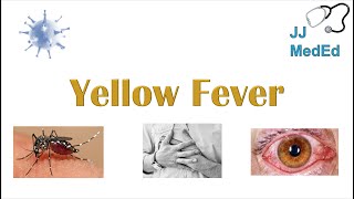 Yellow Fever  Pathogenesis mosquitoes virus Signs amp Symptoms Diagnosis and Treatment [upl. by Nnayrrehs146]