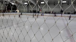 Welland Little NHL Tournament  Clarington Toros vs TNT Tornados  November 15 [upl. by Elyac319]