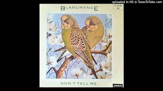 Blancmange  Dont Tell Me 1984 spiral tribe extended [upl. by Anhaj]