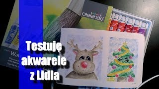 Testuję akwarele z Lidla [upl. by Ahsoyem500]