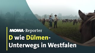 Unterwegs in Westfalen  ARDMorgenmagazin [upl. by Oznola528]