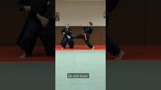 Mushin ryu ju jitsu  Défenses avec De ashi barai et KO soto gari [upl. by Hall861]