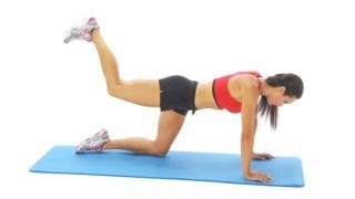 Hip exercise  extension on all fours [upl. by Godrich]