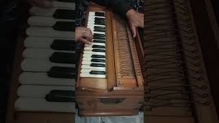 Allah ho qawali  on harmonium  instrumental [upl. by Giule544]