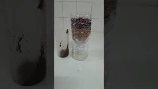 Science project “Water Filtration” [upl. by Neelloc]