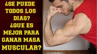 ¿Cuántos días descanso los biceps para un mayor crecimiento [upl. by Einallem734]