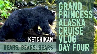 Alaska Cruise Vlog  Day 4 Ketchikan Bears [upl. by Sehguh]