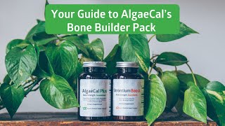 Your Guide to AlgaeCal’s Bone Builder Pack [upl. by Annaoi]