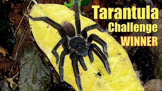 I Went Tarantula Hunting in Costa Rica ALONE [upl. by Luckett]