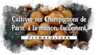 Cultiver ses Champignons de Paris à la maison facilement 🍄 [upl. by Ion]