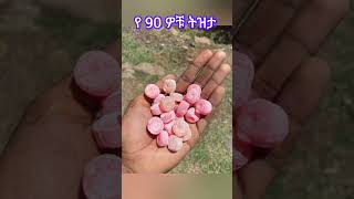 90ዎቹ ትዝታ  90s kids  ዘጠናዎቹ ትውልድ  Ethiopian Habesha ድንቅ አገር [upl. by Lenhard]