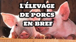 Comment élever des Cochons [upl. by Qifahs125]